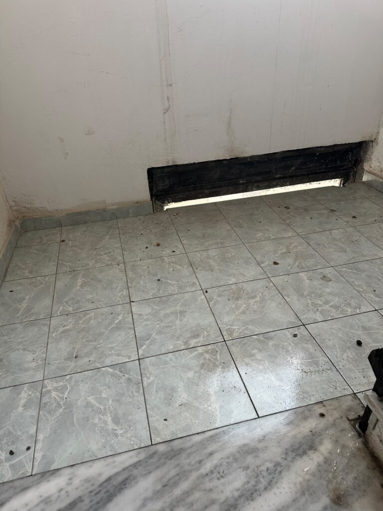 Sheshpushimi i shkalleve para pastrimit, Fier – Pastrim pallati, Fier