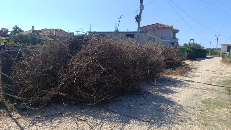 Degët e hequra para se të dërgohen në landfill. – Para pastrimit – Pastrim Trualli, Divjakë