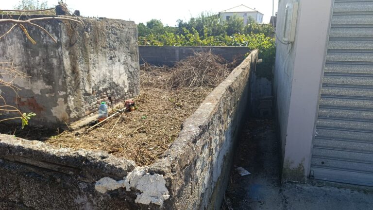 Pas pastrimit – Pastrim Trualli, Divjakë